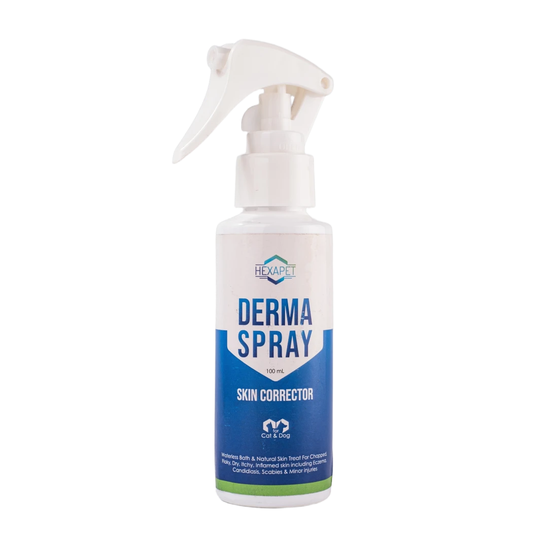 thumbnail-derma-spray-100ml