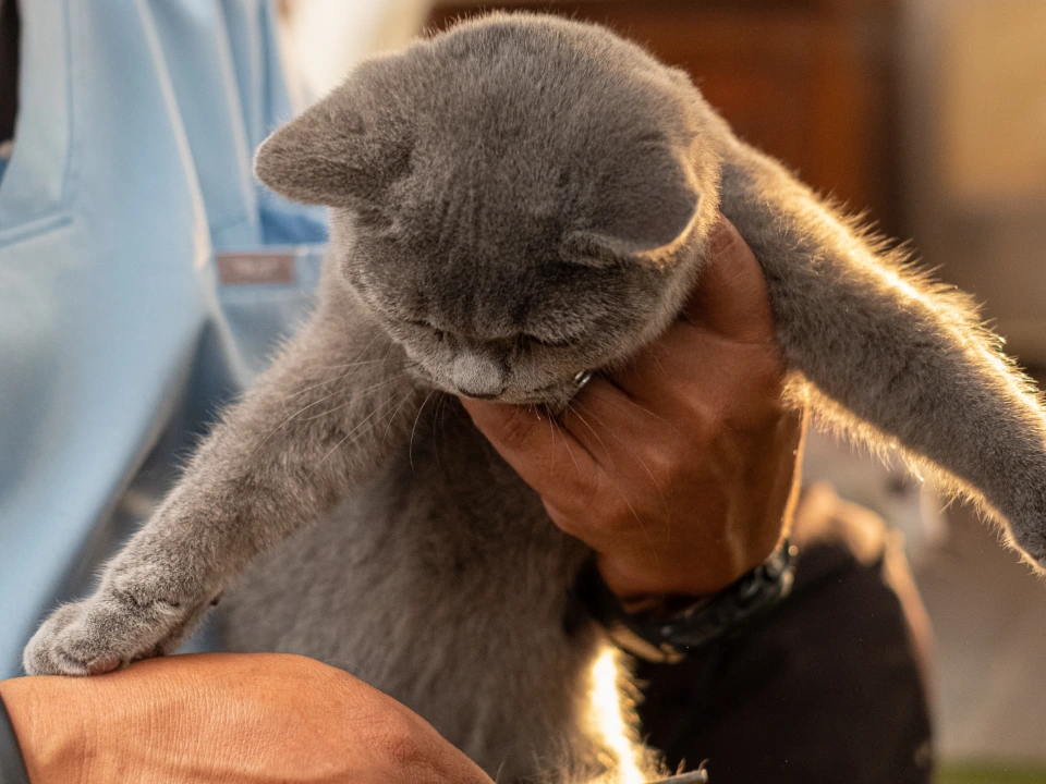 gallery-dermaspray-02