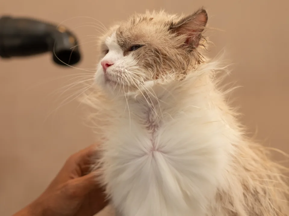 gallery-easeseries-04