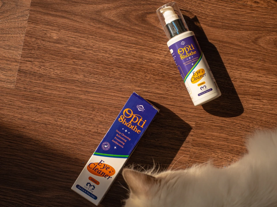 gallery-optishoothe-02