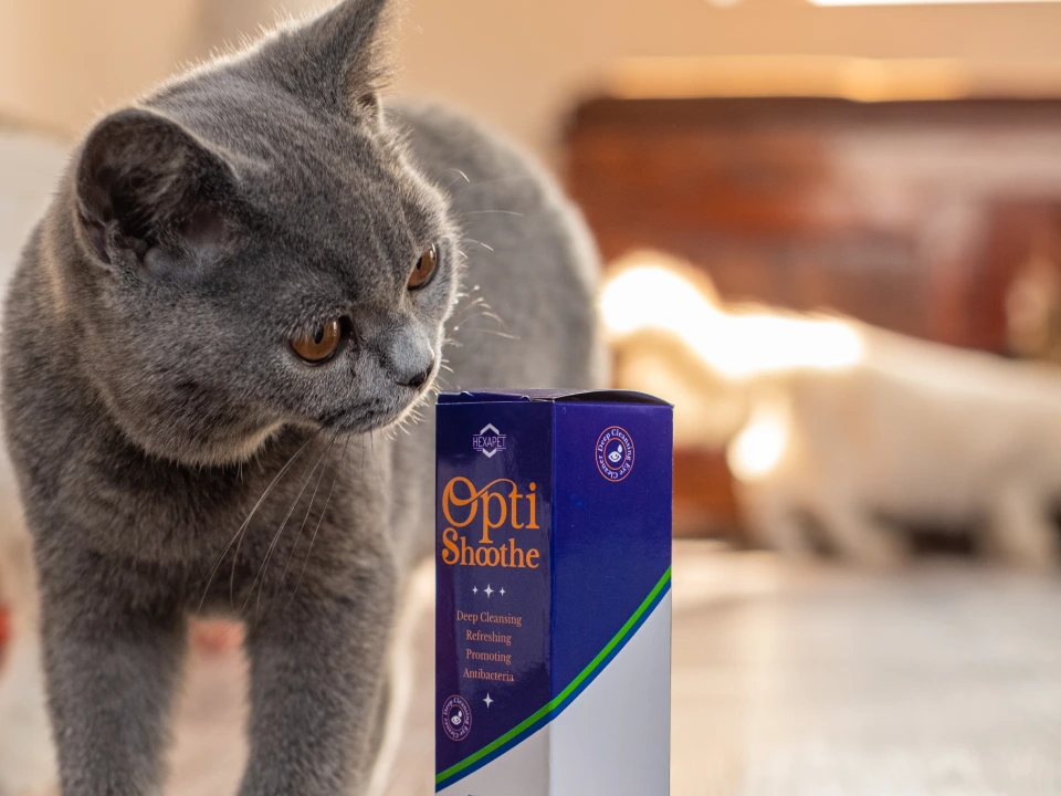 gallery-optishoothe-03